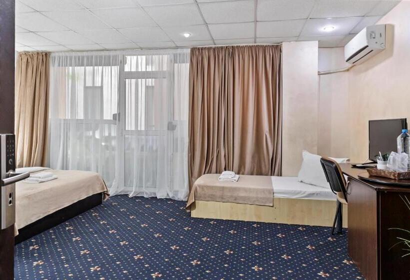 Hotel Charter Otopeni