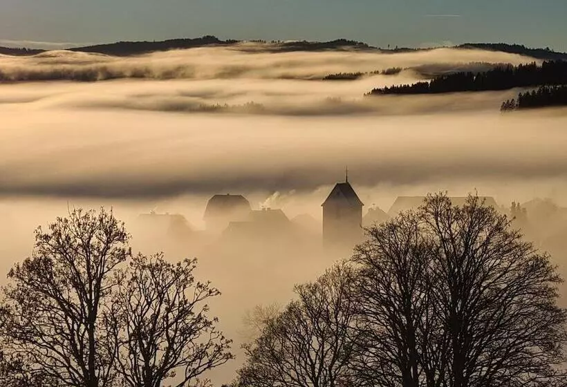 Jufa Hotel Schwarzwald