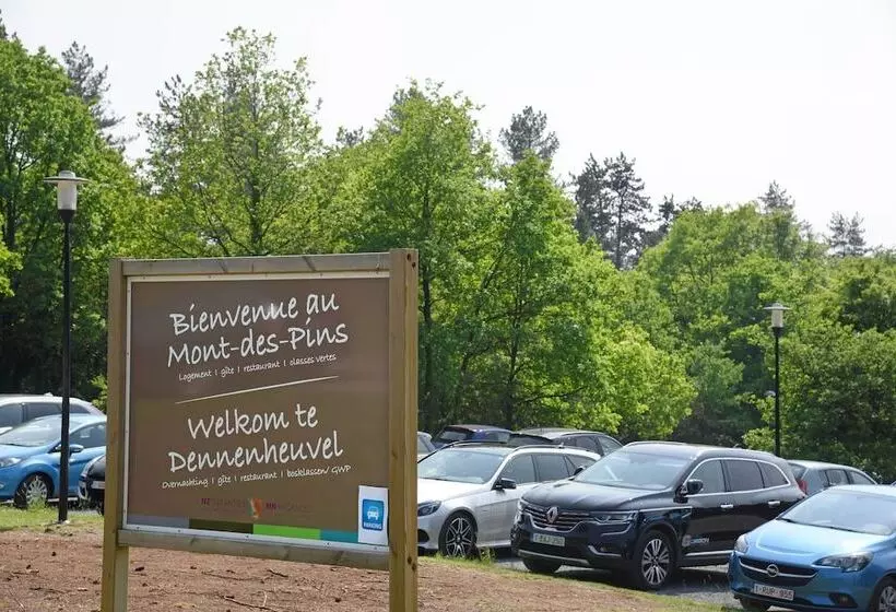 Отель Montdespins Domaine De Vacances, Vakantiedomein Dennenheuvel