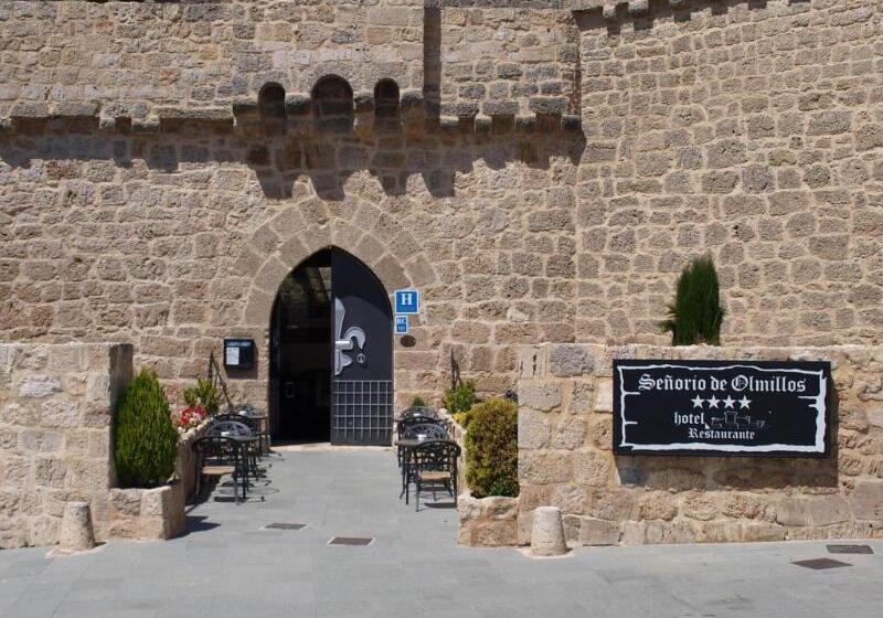فندق Senorio de Olmillos