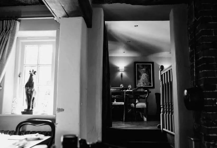 Отель The Boot Inn