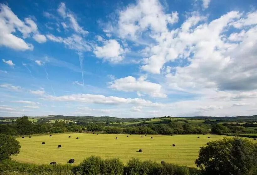 호텔 The Plough Inn