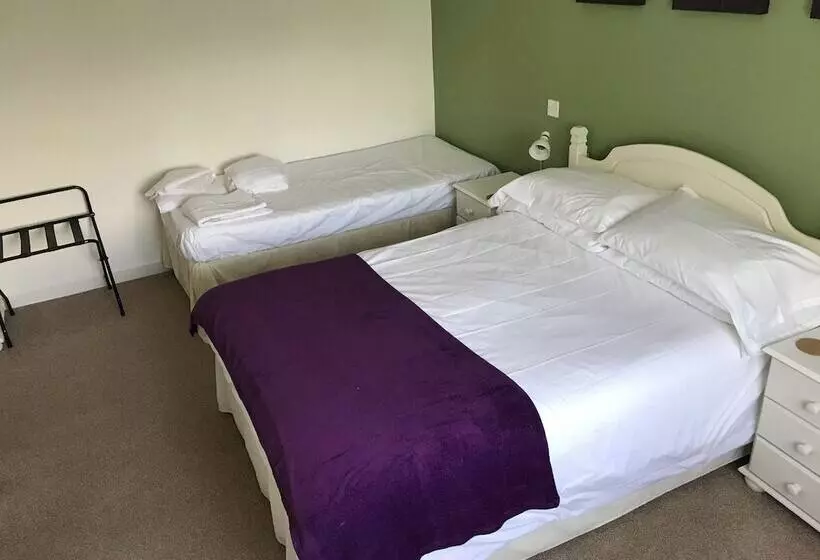 ホテル The Plume Of Feathers