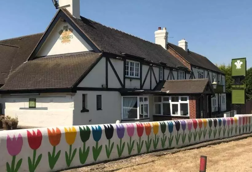 ホテル The Plume Of Feathers