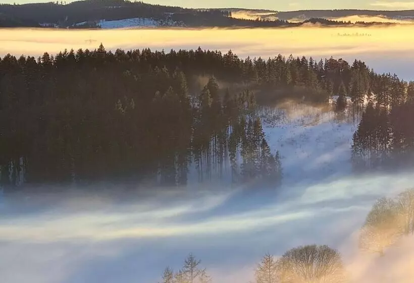 Jufa Hotel Schwarzwald