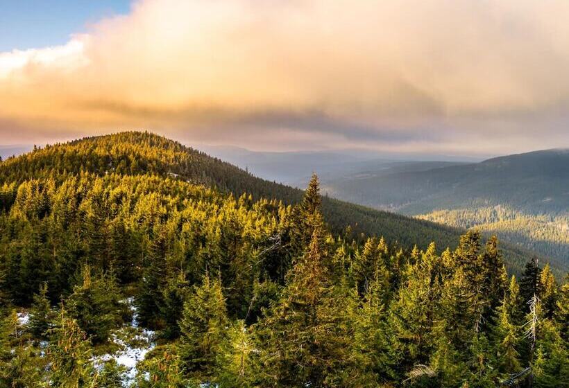 Ski & Spa Hotel Bellevue