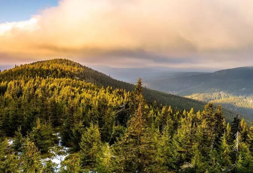 Ski & Spa Hotel Bellevue