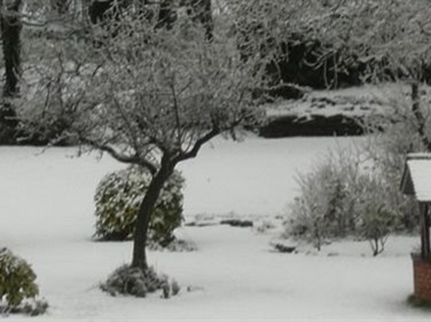 فندق The Grove House