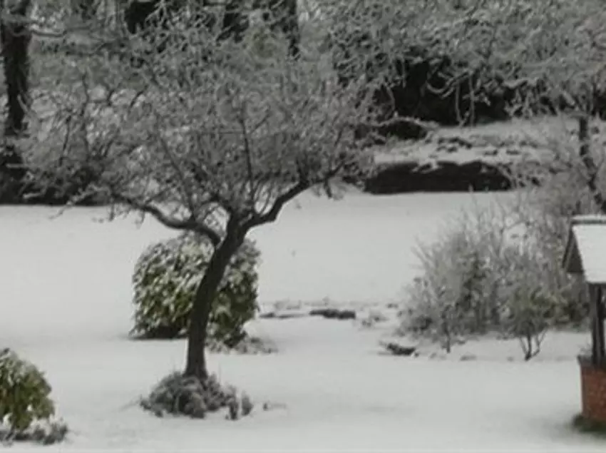 בית מלון כפרי The Grove House