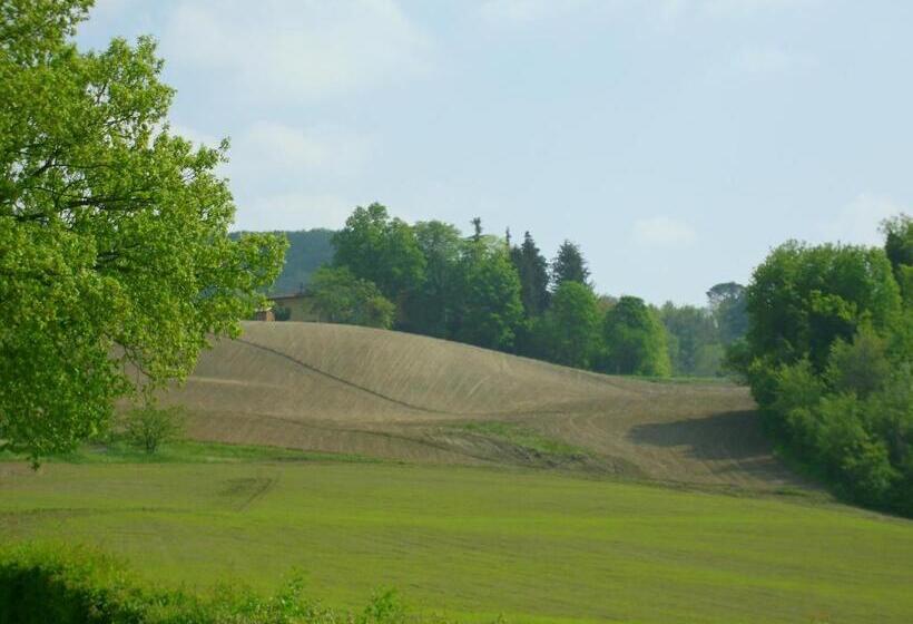 Отель Admiral Park