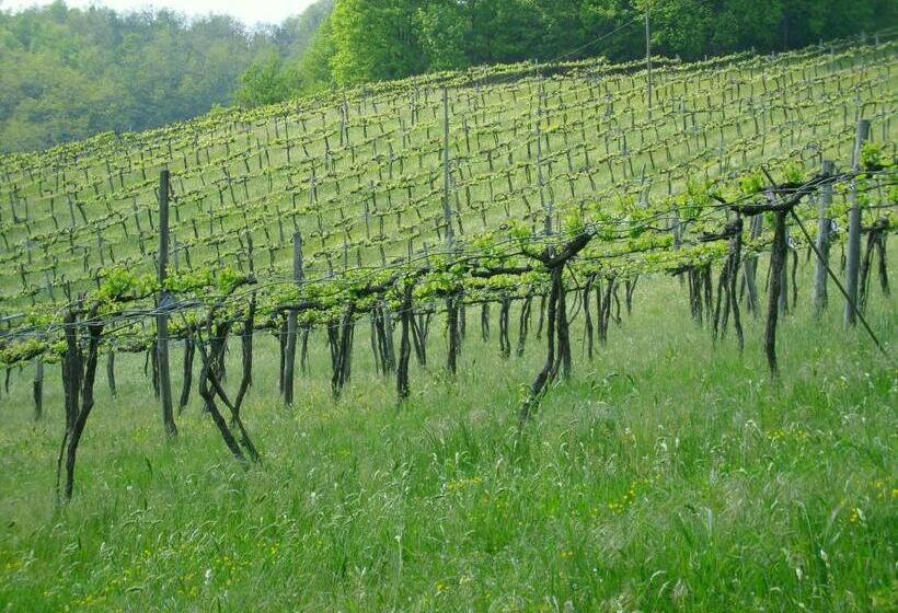 Отель Admiral Park