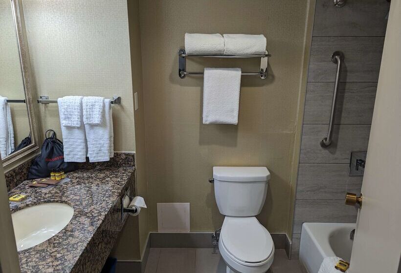 فندق Best Western Plus Toronto Airport