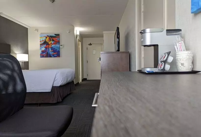 酒店 Best Western Plus Toronto Airport