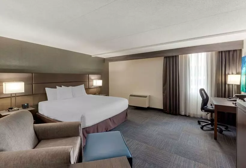 酒店 Best Western Plus Toronto Airport