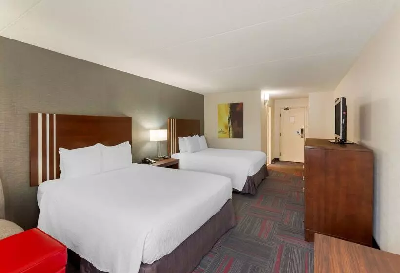 酒店 Best Western Plus Toronto Airport