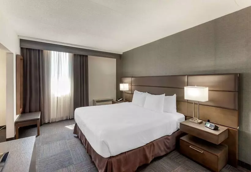 酒店 Best Western Plus Toronto Airport