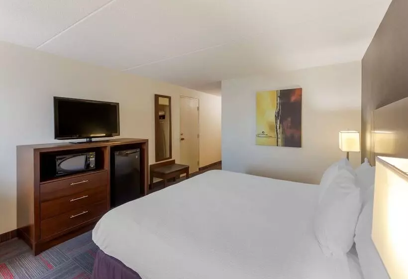 酒店 Best Western Plus Toronto Airport