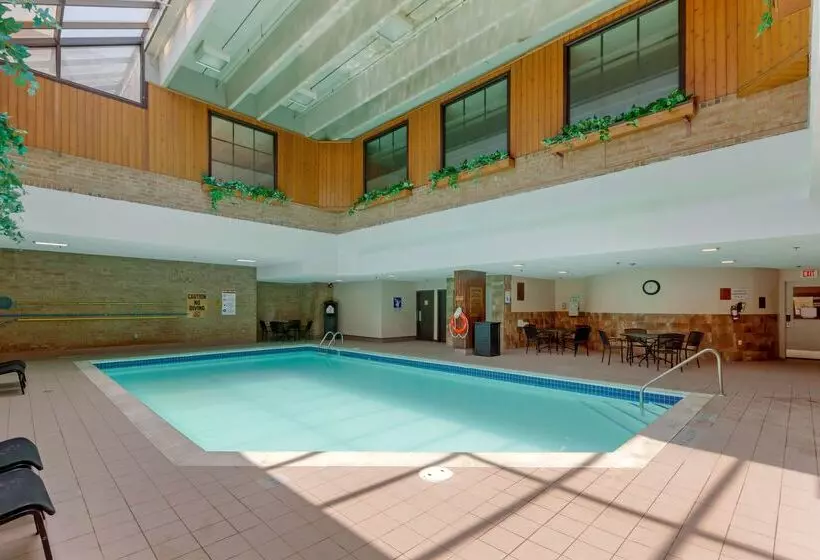 酒店 Best Western Plus Toronto Airport