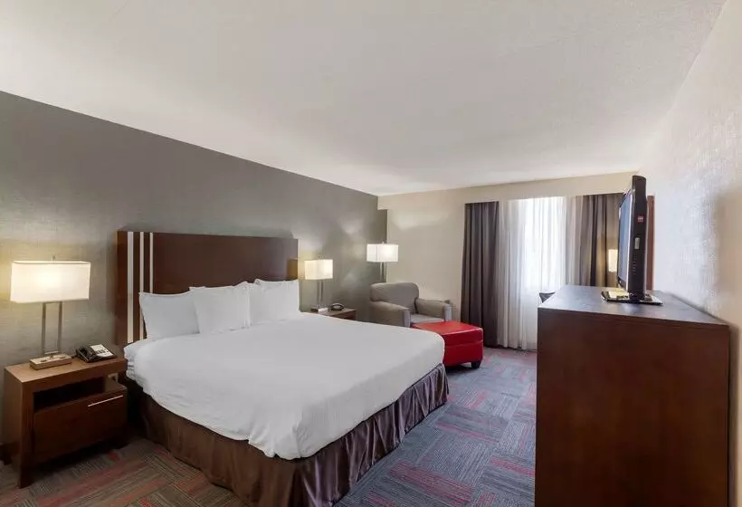 酒店 Best Western Plus Toronto Airport