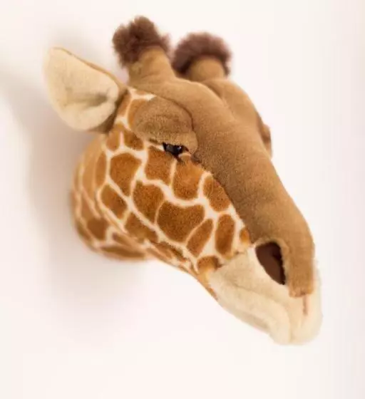 בית מלון כפרי Esperanto