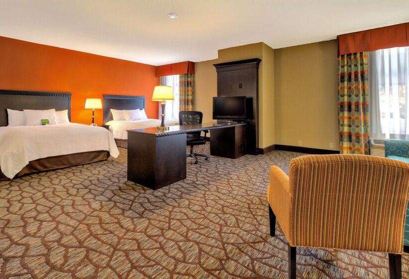 בית מלון כפרי Hampton Inn Ashevilletunnel Rd