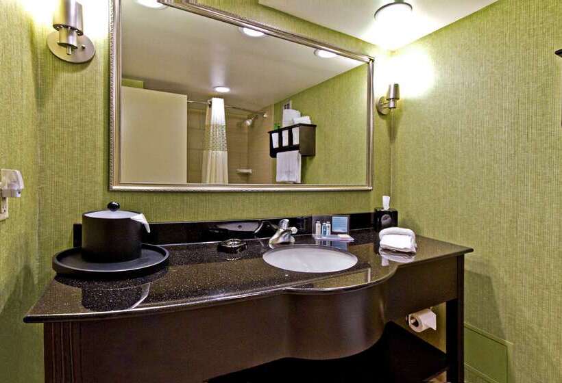 בית מלון כפרי Hampton Inn Ashevilletunnel Rd