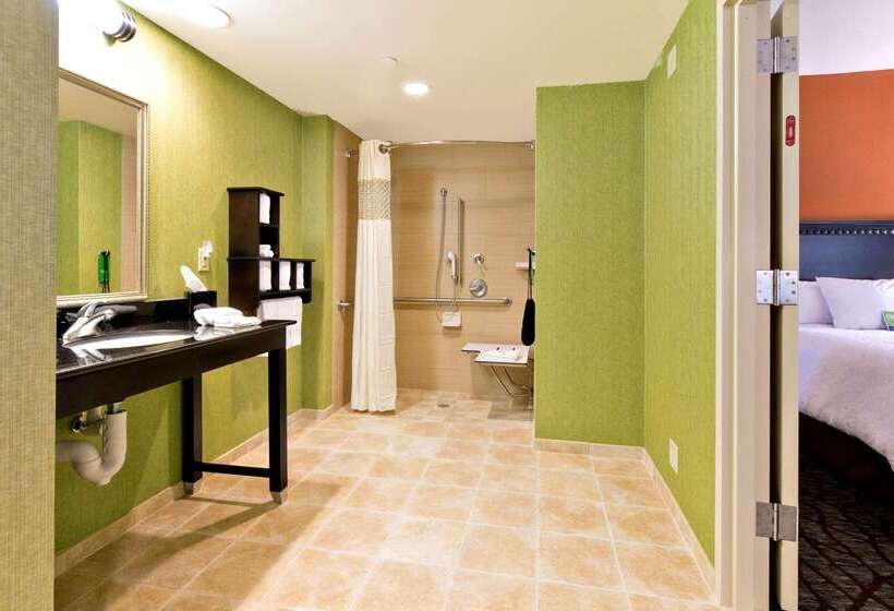 בית מלון כפרי Hampton Inn Ashevilletunnel Rd