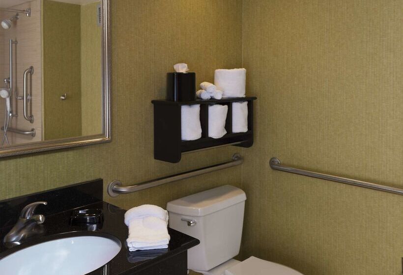 בית מלון כפרי Hampton Inn Ashevilletunnel Rd