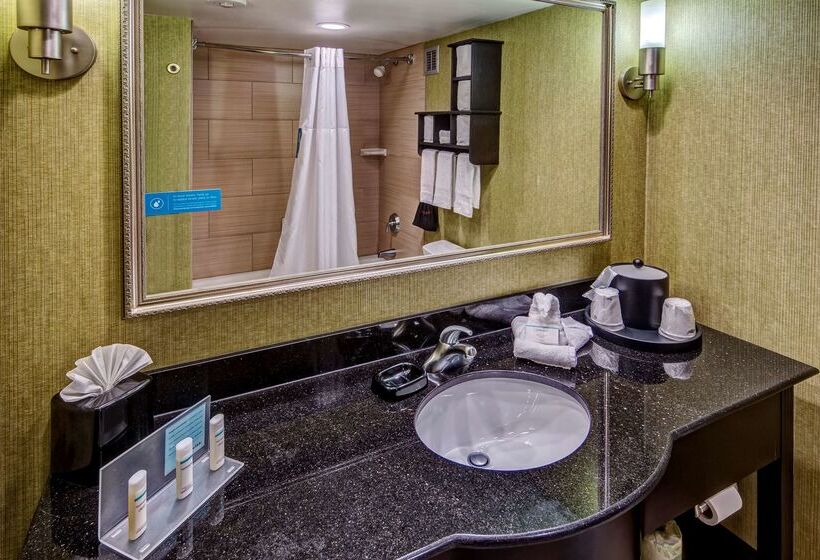 בית מלון כפרי Hampton Inn Ashevilletunnel Rd