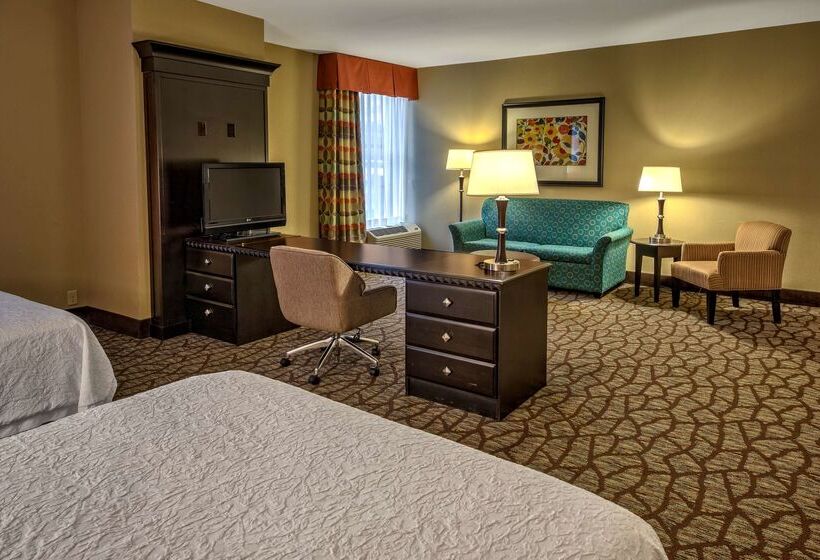 בית מלון כפרי Hampton Inn Ashevilletunnel Rd