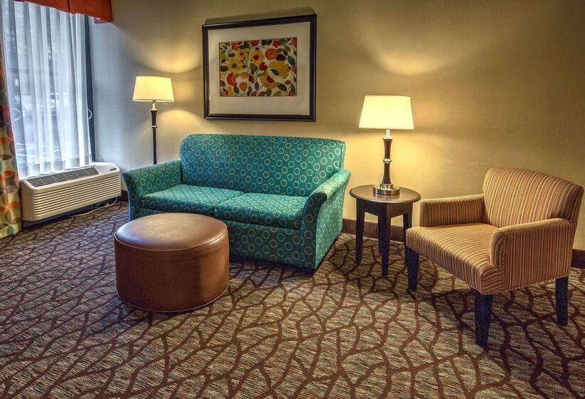 בית מלון כפרי Hampton Inn Ashevilletunnel Rd