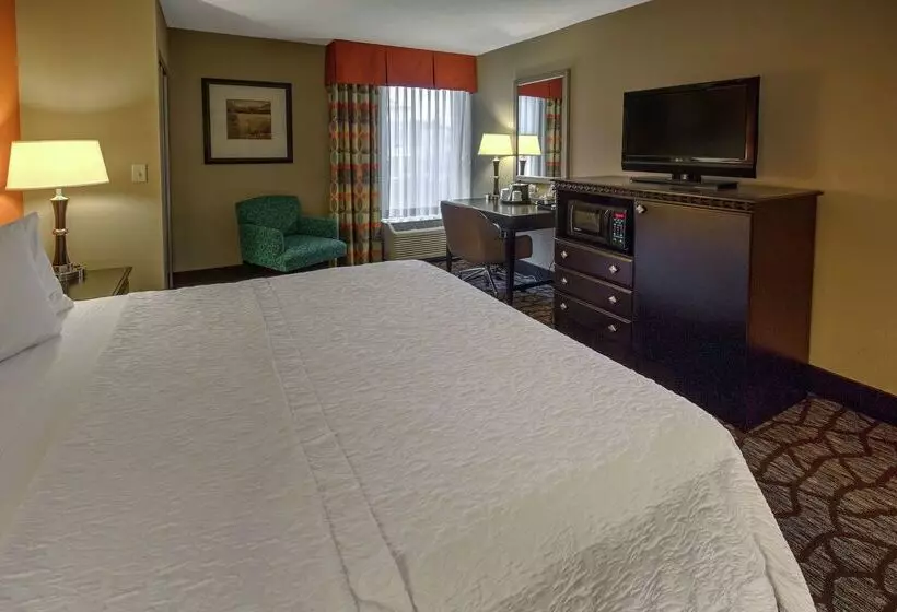 فندق Hampton Inn Ashevilletunnel Rd