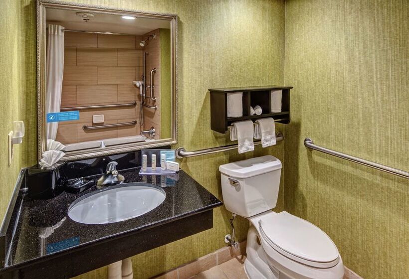 בית מלון כפרי Hampton Inn Ashevilletunnel Rd