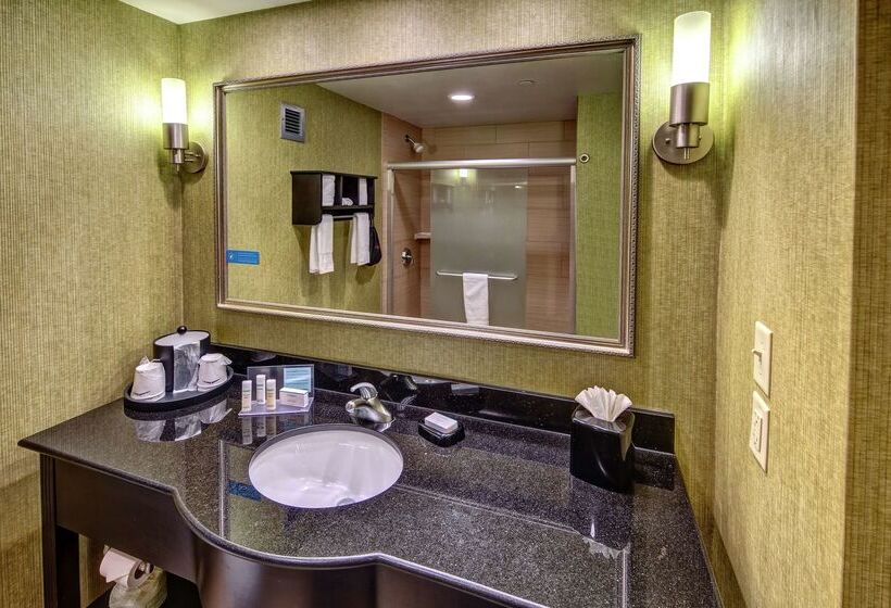 בית מלון כפרי Hampton Inn Ashevilletunnel Rd