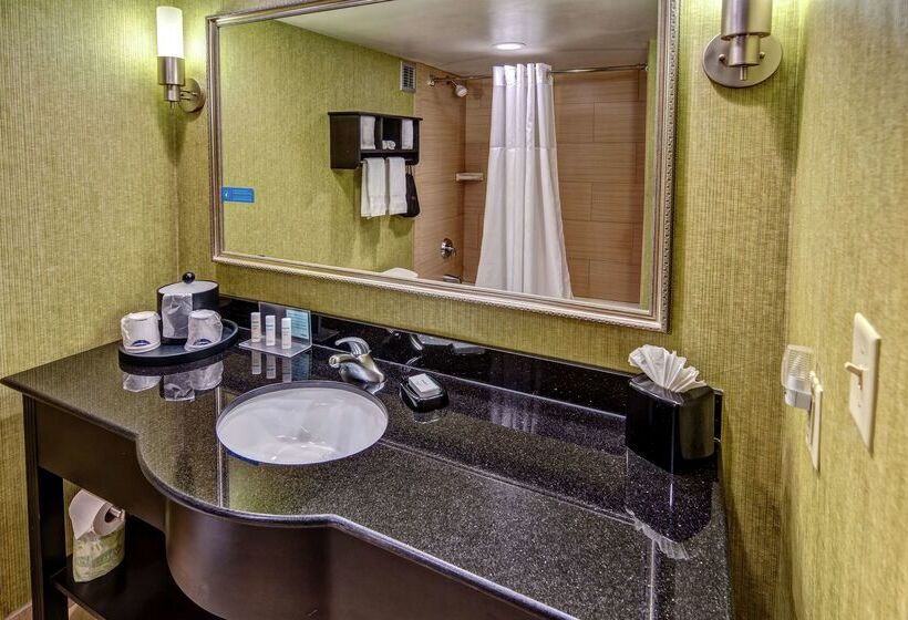 בית מלון כפרי Hampton Inn Ashevilletunnel Rd