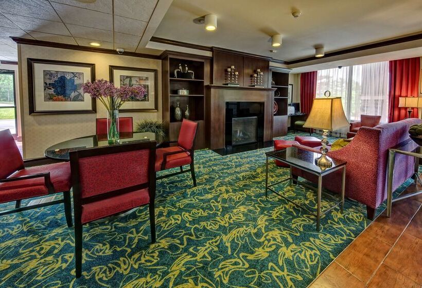 בית מלון כפרי Hampton Inn Ashevilletunnel Rd