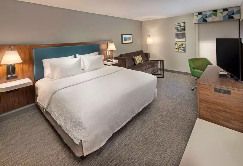 فندق Hampton Inn Ashevilletunnel Rd