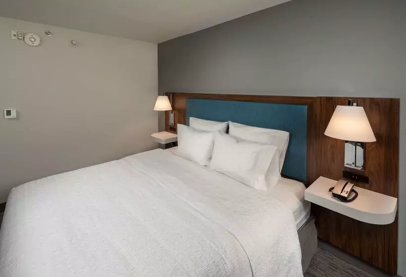 فندق Hampton Inn Ashevilletunnel Rd