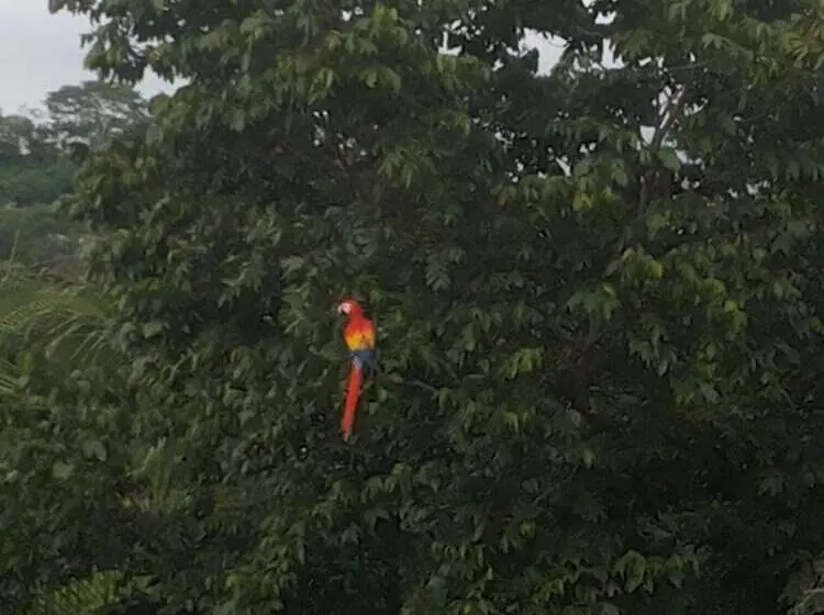 בית מלון כפרי La Colina