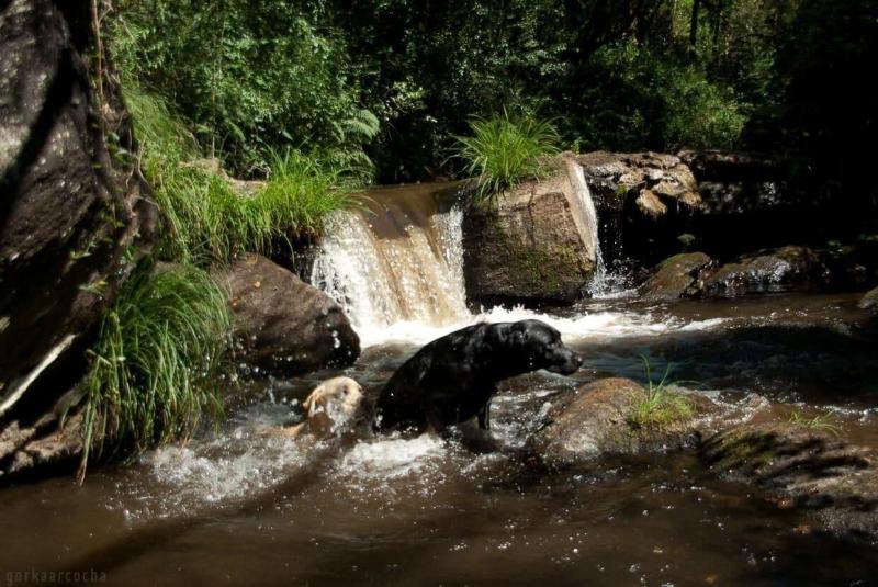 هتل روستایی O Muino De Pena
