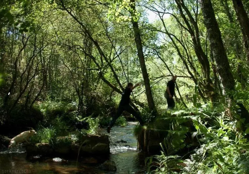 田舎風ホテル O Muino De Pena