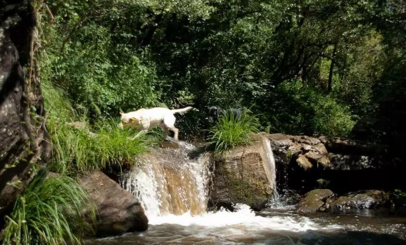 田舎風ホテル O Muino De Pena