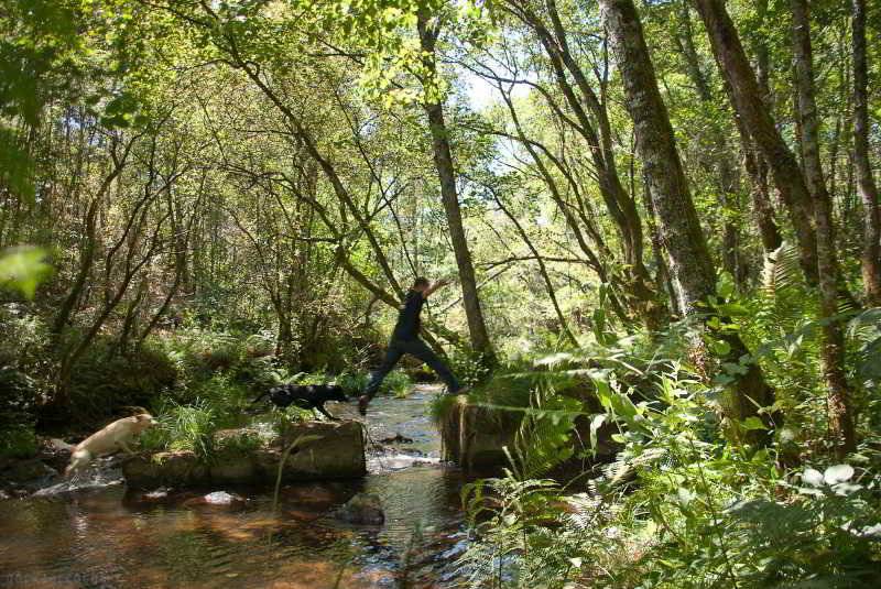 هتل روستایی O Muino De Pena