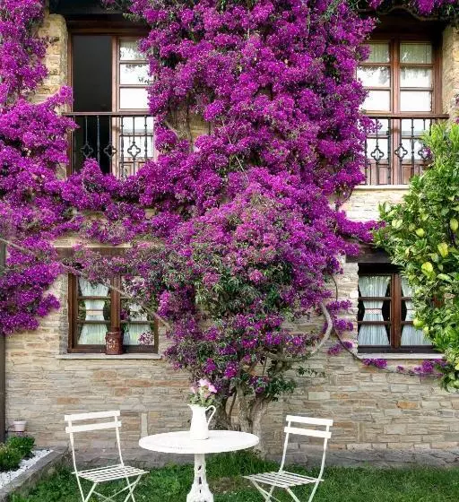 Сельский отель Rural Casona De Cefontes