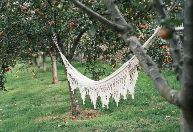 Сельский отель Rural Casona De Cefontes