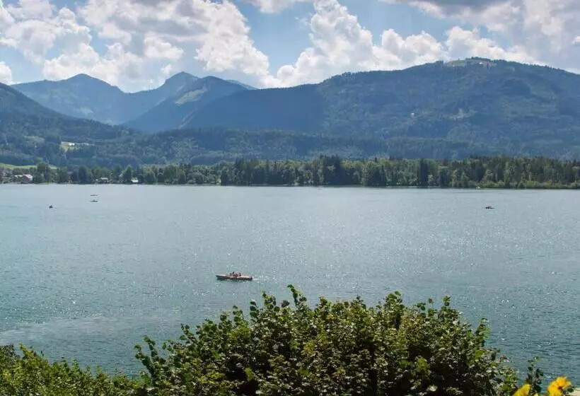 Отель Weisser Hirsch