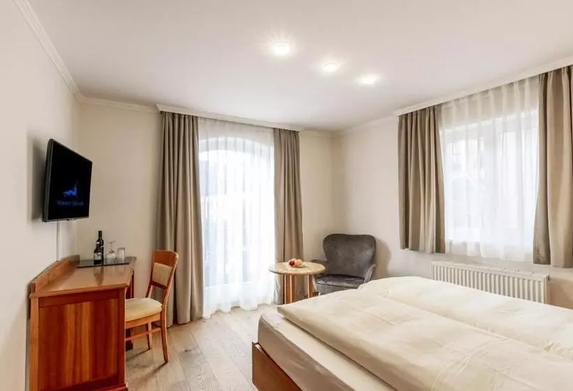 Отель Weisser Hirsch