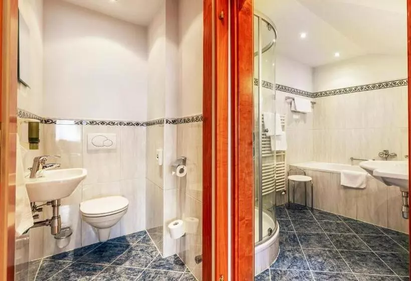 Отель Weisser Hirsch