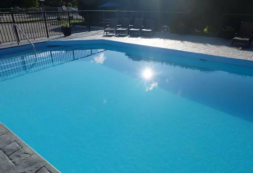 فندق على الطريق Oasis Inn