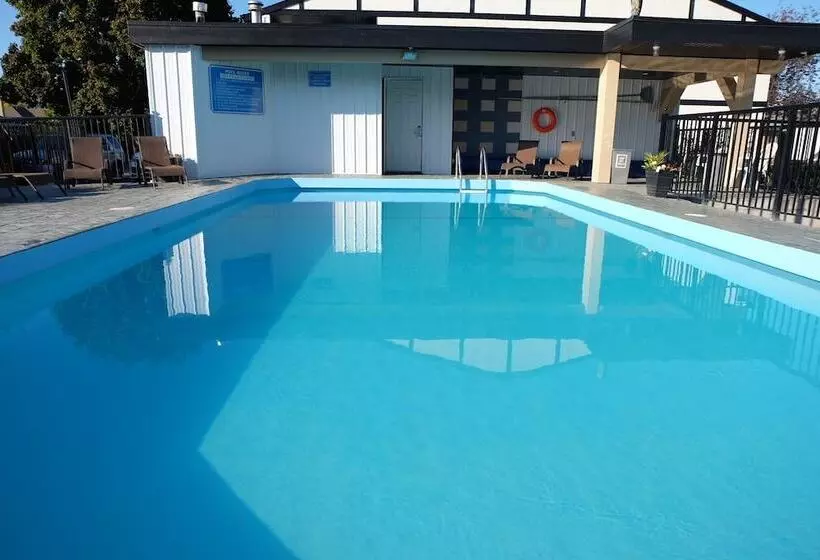 فندق على الطريق Oasis Inn